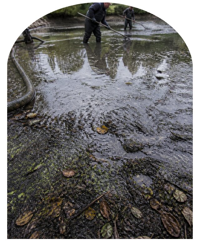 Очистка пруда в Донецке от ила мусора и водорослей с вывозом